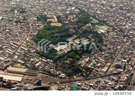 池上本門寺付近を空撮 10690556