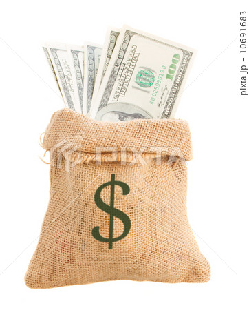 dollars in bag dollars in bag 10691683