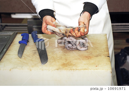 Cleaning octopus Cleaning octopus 10691971