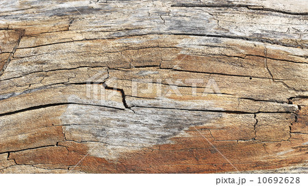 Wooden texture 10692628