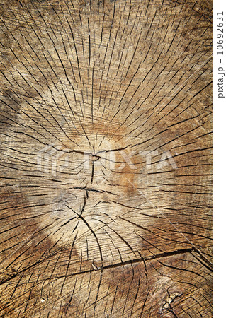 Wooden background 10692631