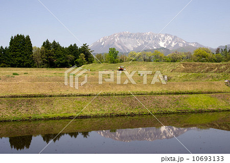 田植えが始まる大山の麓の田圃の景色 10693133
