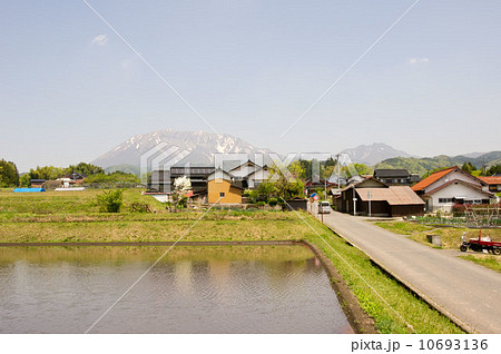 田植えが始まる大山の麓の田圃の景色 10693136