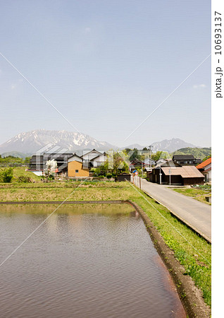 田植えが始まる大山の麓の田圃の景色 10693137