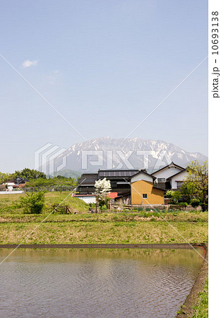 田植えが始まる大山の麓の田圃の景色 10693138