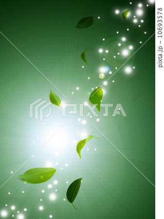 煌めく葉 煌めく葉 10693578
