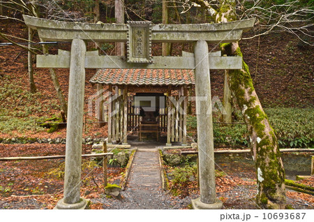 鏡が池弁天（比叡山延暦寺･横川地区／滋賀県大津市坂本本町） 10693687