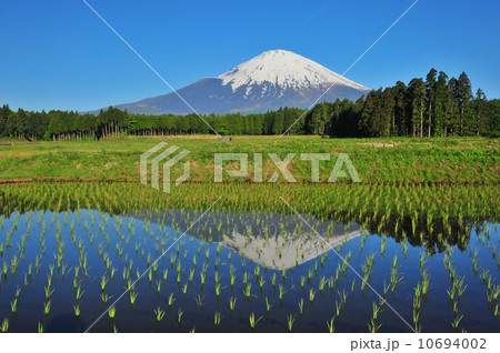 早苗と逆さ富士の田園風景 早苗と逆さ富士の田園風景 10694002
