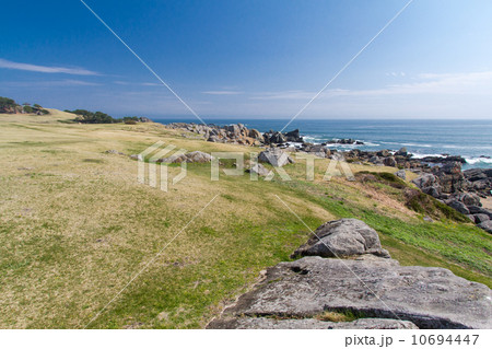 青森県八戸市　種差海岸 10694447