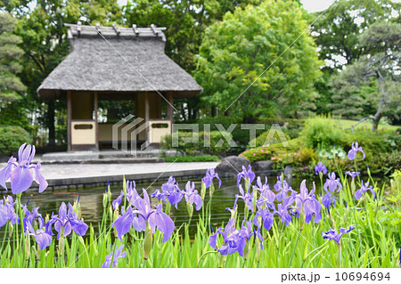 丈山苑　詩泉閣　東庭 10694694