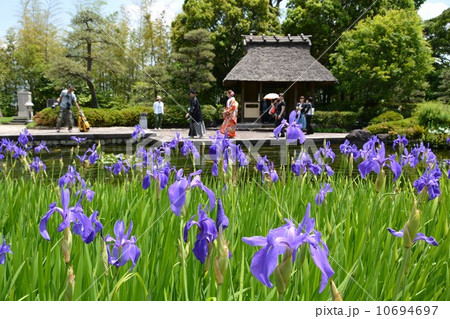 丈山苑 詩泉閣 東庭 丈山苑 詩泉閣 東庭 10694697