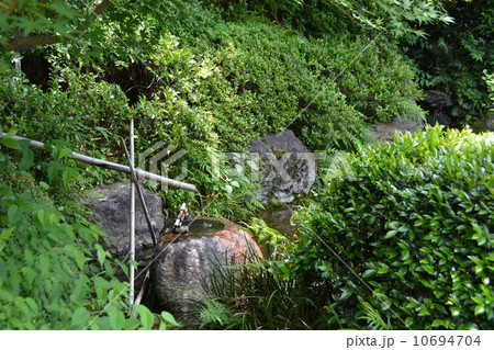 丈山苑　詩泉閣　南庭の筧 10694704