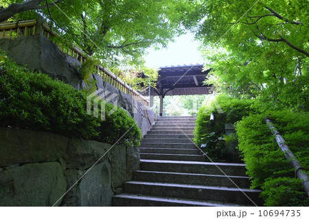 丈山苑 正門 丈山苑 正門 10694735