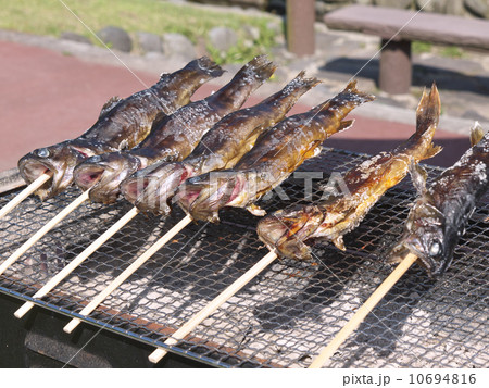 イワナの塩焼き 10694816