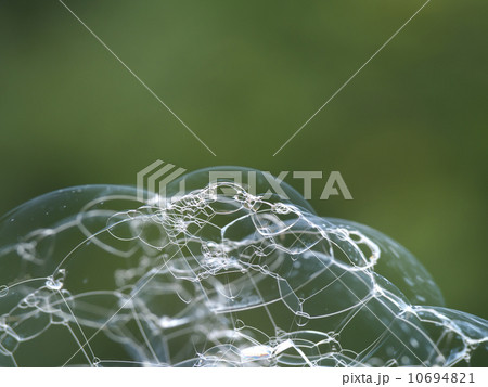 シャボン玉の泡 シャボン玉の泡 10694821