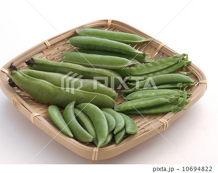 初夏の豆 10694822