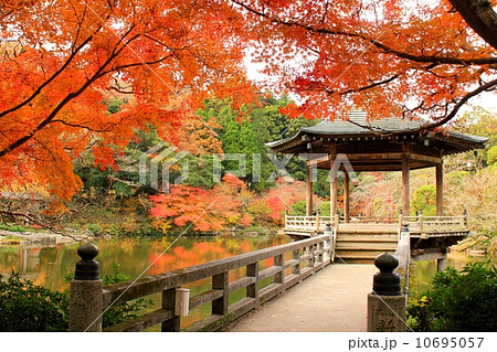 秋の成田山公園 秋の成田山公園 10695057
