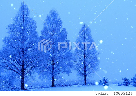 雪景色 10695129