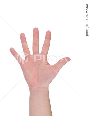 Five fingers. Man's hand. Five fingers. Man's hand. 10695568