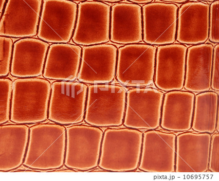 Fashion skin textile background 10695757