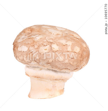 Brown champignon mushroom. 10695770