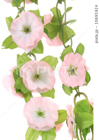 Close up of artificial flowers. Close up of artificial flowers. 10695924