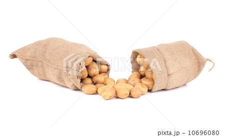 Two burlap sacks with potatoes. Two burlap sacks with potatoes. 10696080