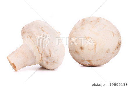 White mushrooms. White mushrooms. 10696153