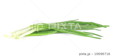 Fresh spring onion. Fresh spring onion. 10696716