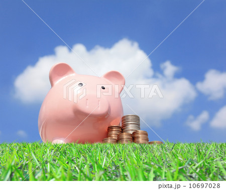 pink piggy bank and money pink piggy bank and money 10697028