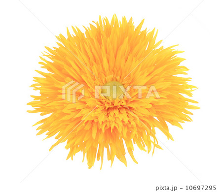 Bright yellow artificial flower. 10697295