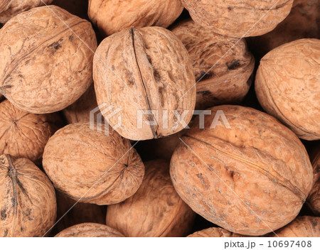 Bunch of walnuts whole. Close up. 10697408