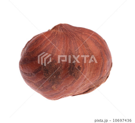 Close up of whole filbert nut. Close up of whole filbert nut. 10697436