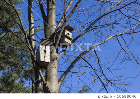 Birdhouses await their owners. Birdhouses await their owners. 10698046