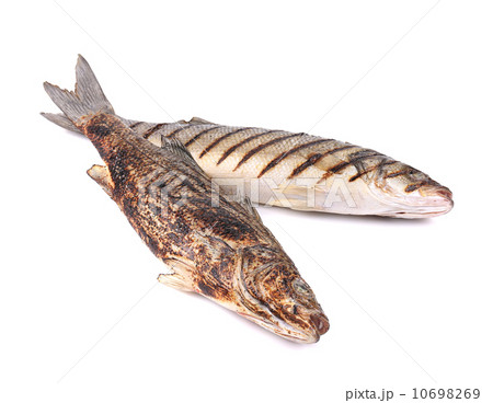 Two grilled seabass fish 10698269