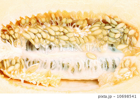 Close up of a melon on the inside. Close up of a melon on the inside. 10698541