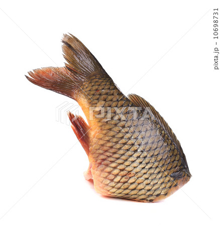Fresh tail of carp fish. Fresh tail of carp fish. 10698731