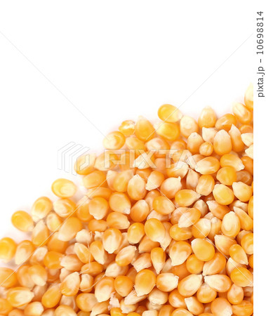 Closeup of corn grains. Closeup of corn grains. 10698814