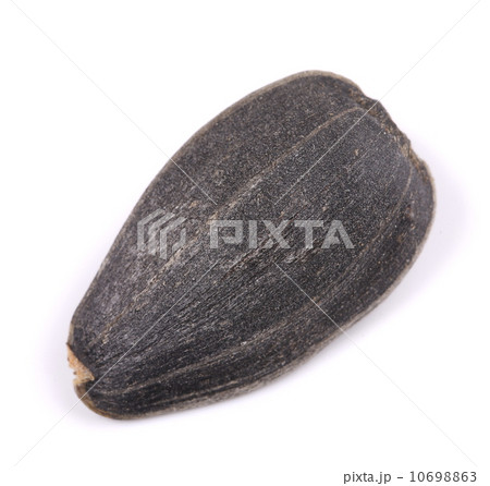 one sunflower seed one sunflower seed 10698863
