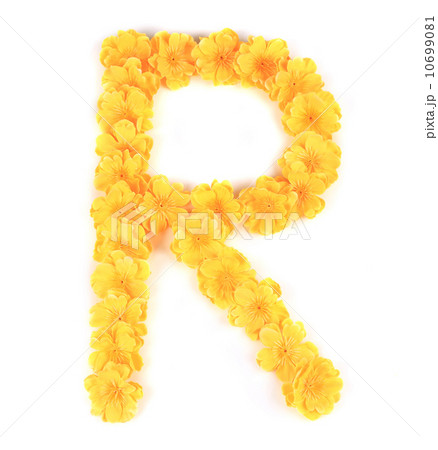 Letter R flower alphabet. Letter R flower alphabet. 10699081