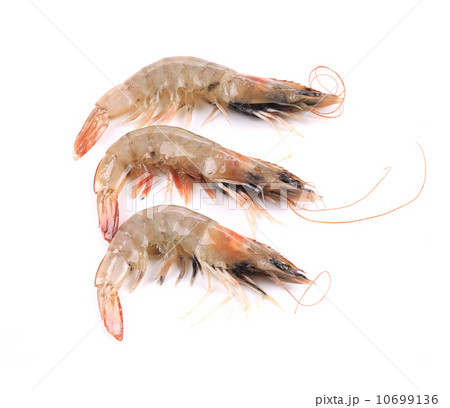 Close up of three fresh shrimp 10699136