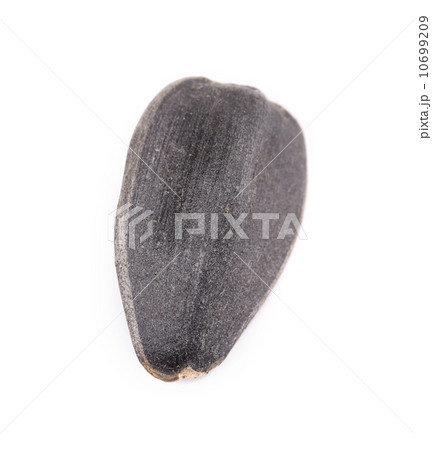 Black sonflower seed. 10699209