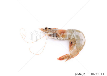 Close up of fresh shrimp. Close up of fresh shrimp. 10699311