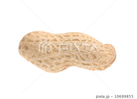 Peanut 10699855