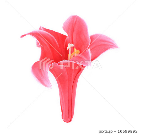 Closeup of pink artificial flower. Closeup of pink artificial flower. 10699895