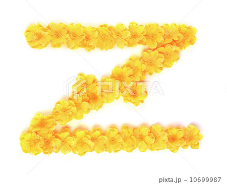 Letter Z flower alphabet. Letter Z flower alphabet. 10699987