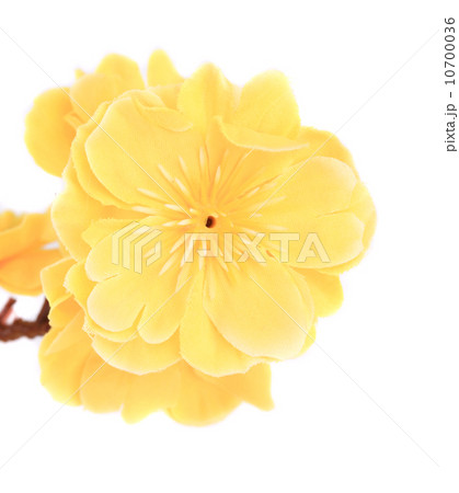 Artificial yellow flower closeup. 10700036