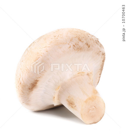 White mushroom close up. White mushroom close up. 10700463