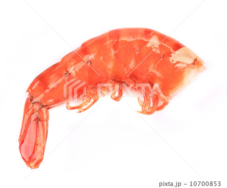 Shrimp close up on white. 10700853