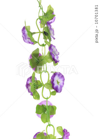 Close up of blooming artificial flowers. Close up of blooming artificial flowers. 10701381